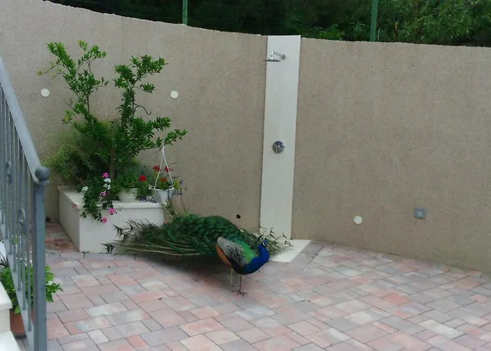 Anka Strman Apartamento *