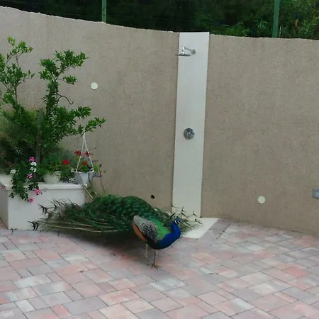 Anka Strman Appartement *