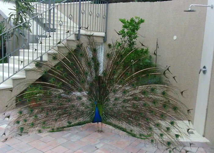 Anka Strman * Makarska